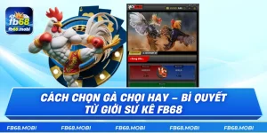 Cách Chọn Gà Chọi Hay