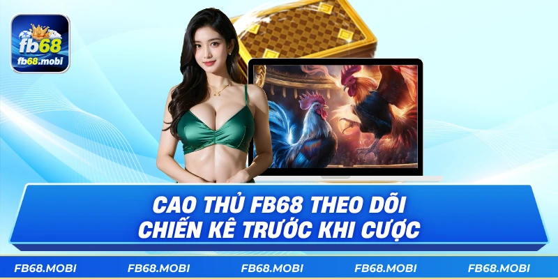 Cao thủ fb68 theo dõi chiến kê trước khi cược