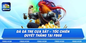 Đá Gà Tre Cựa Sắt