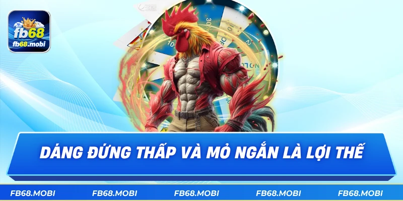Dáng đứng thấp và mỏ ngắn là lợi thế