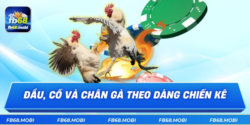 Đầu, cổ và chân gà theo dáng chiến kê