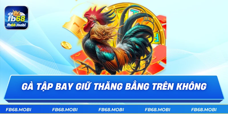 Gà tập bay giữ thăng bằng trên không