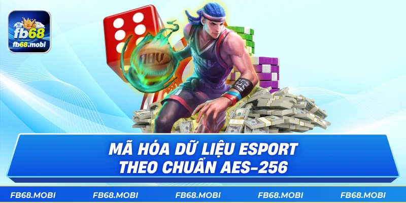Mã hóa dữ liệu esport theo chuẩn AES-256