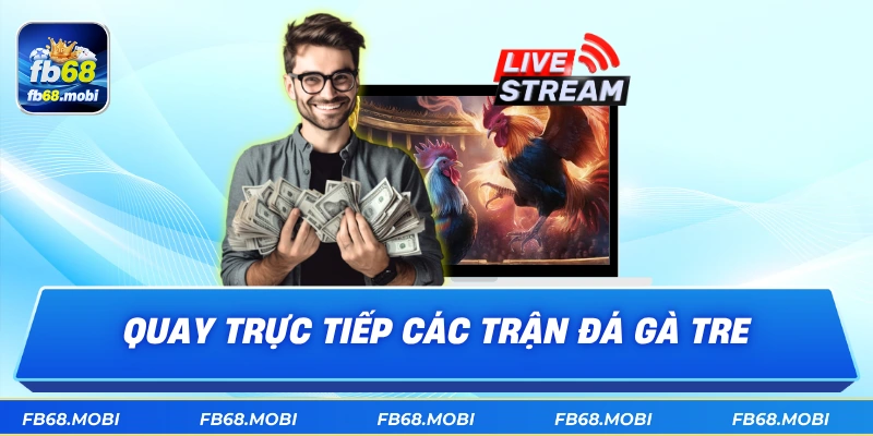 Quay trực tiếp các trận đá gà tre