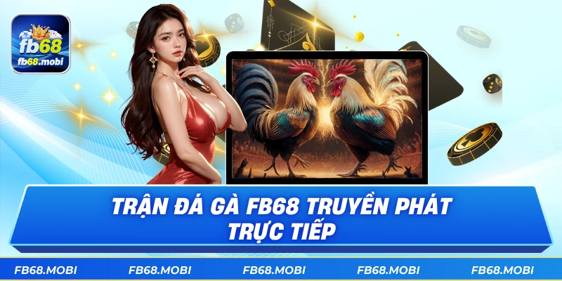 Trận đá gà fb68 truyền phát trực tiếp